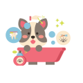 basic grooming