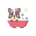 pks pet grooming regular bath